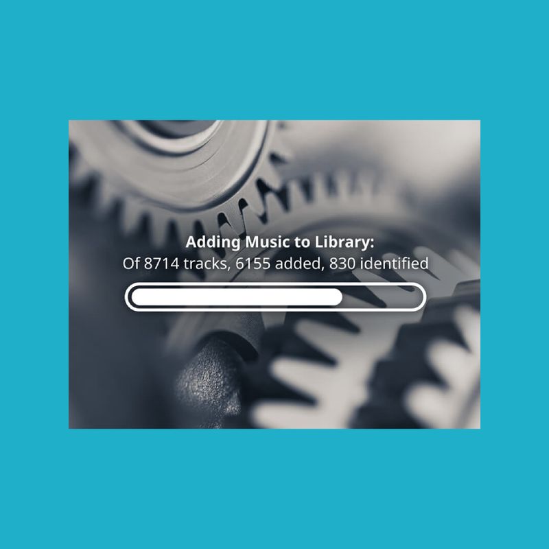 Roon Music Organization - Library Management & Audio File Organization
